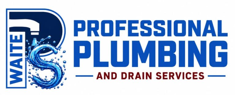 Professional Plumbing and Drain Services